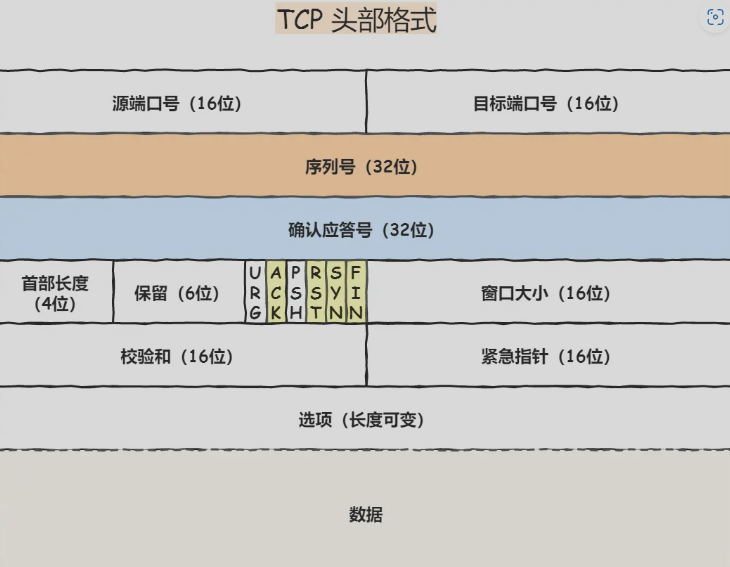 image-20240903184910629